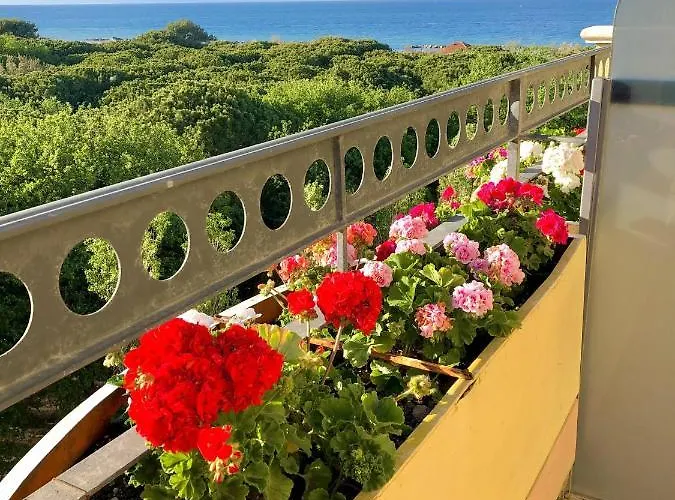 Caravel Hotel