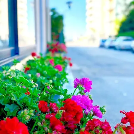 Hotel Caravel